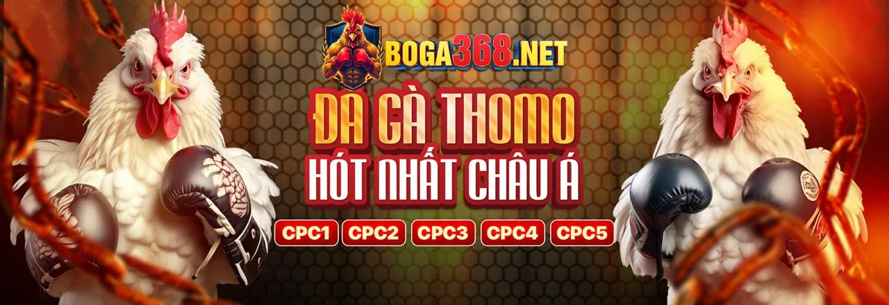 Hệ thống giao dịch nạp rút tiền an toàn của 8live chính thức